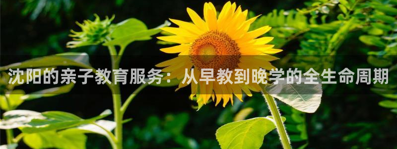 天狮娱乐是什么东西：沈阳的亲子教育服务：从早教到晚学的全生命周期