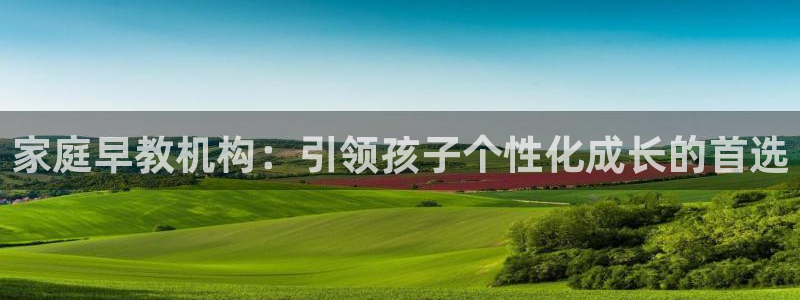 天狮娱乐能赚钱吗：家庭早教机构：引领孩子个性化成长的首选