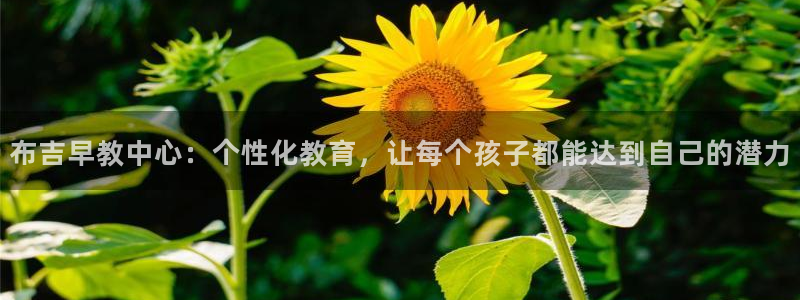 天狮娱乐平台怎么样：布吉早教中心：个性化教育，让每个孩子都能达到自己的潜力