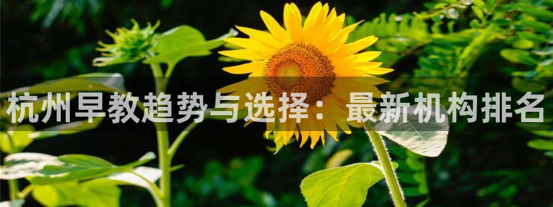 天狮娱乐股东代理：杭州早教趋势与选择：最新机构排名