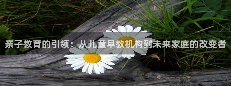 天狮娱乐950594：亲子教育的引领：从儿童早教机构到未来家庭的改变者
