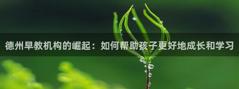 天狮娱乐是私人平台吗：德州早教机构的崛起：如何帮助孩子更好地成长和学习