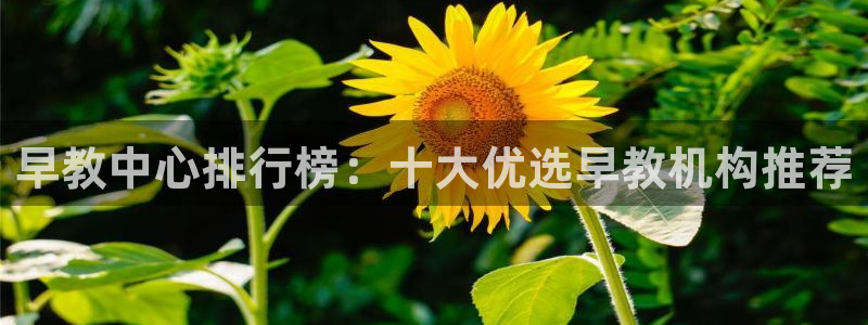 天狮娱乐c OO判官：早教中心排行榜：十大优选早教机构推荐