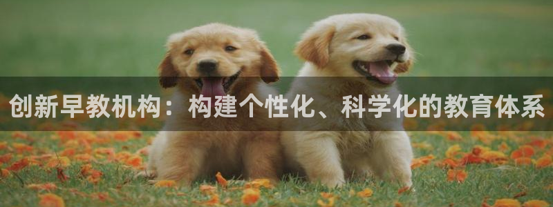 天狮娱乐彩票怎么样：创新早教机构：构建个性化、科学化的教育体系