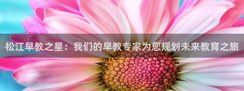 天狮娱乐b OO判官：松江早教之星：我们的早教专家为您规划未来教育之旅