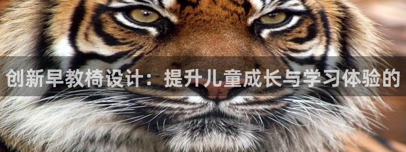 天狮娱乐 b内部61166：创新早教椅设计：提升儿童成长与学习体验的