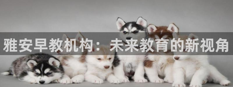 天狮娱乐 31661股z东：雅安早教机构：未来教育的新视角