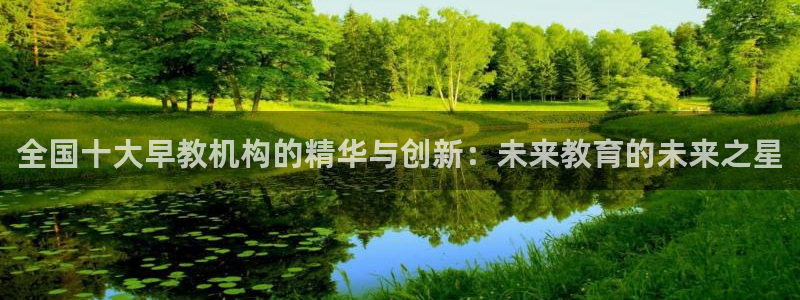 天狮娱乐彩票怎么玩：全国十大早教机构的精华与创新：未来教育的未来之星
