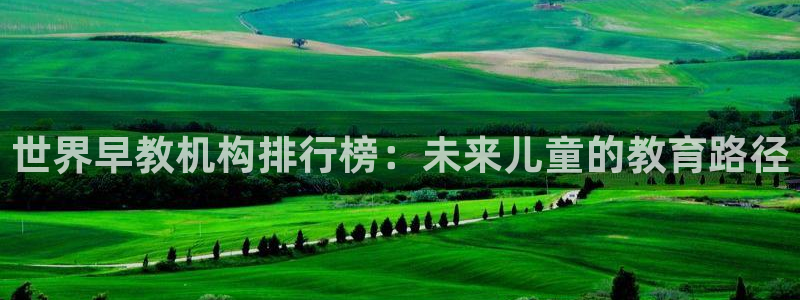 天狮娱乐扣扣29229：世界早教机构排行榜：未来儿童的教育路径