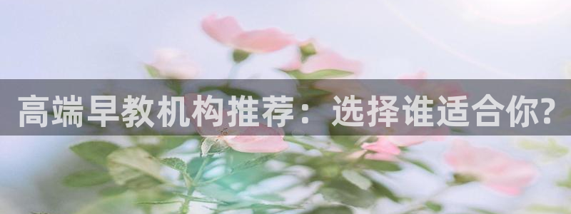 天狮娱乐招代理：高端早教机构推荐：选择谁适合你?