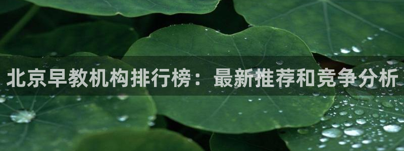 天狮娱乐工资：北京早教机构排行榜：最新推荐和竞争分析