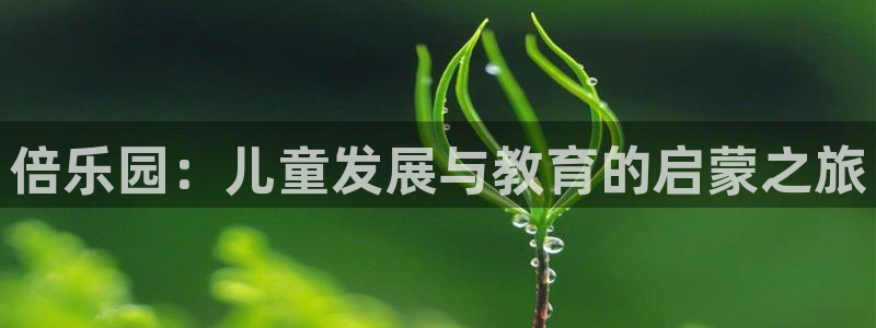 天狮娱乐招商36633：倍乐园：儿童发展与教育的启蒙之旅