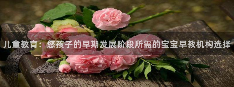 天狮娱乐专线：儿童教育：您孩子的早期发展阶段所需的宝宝早教机构选择